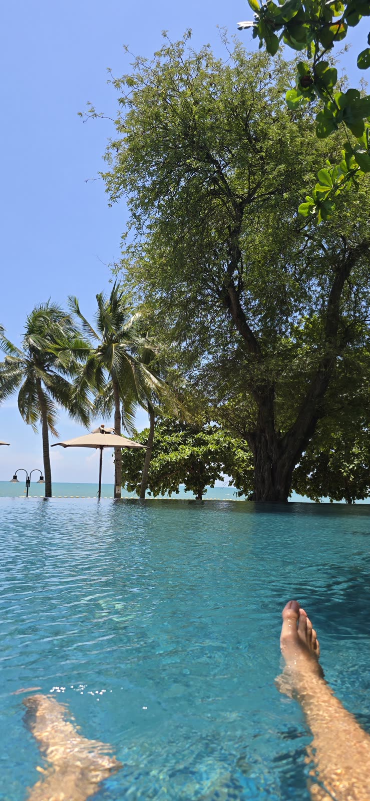 infinity pool edge with palm trees and ocean view, sunny day