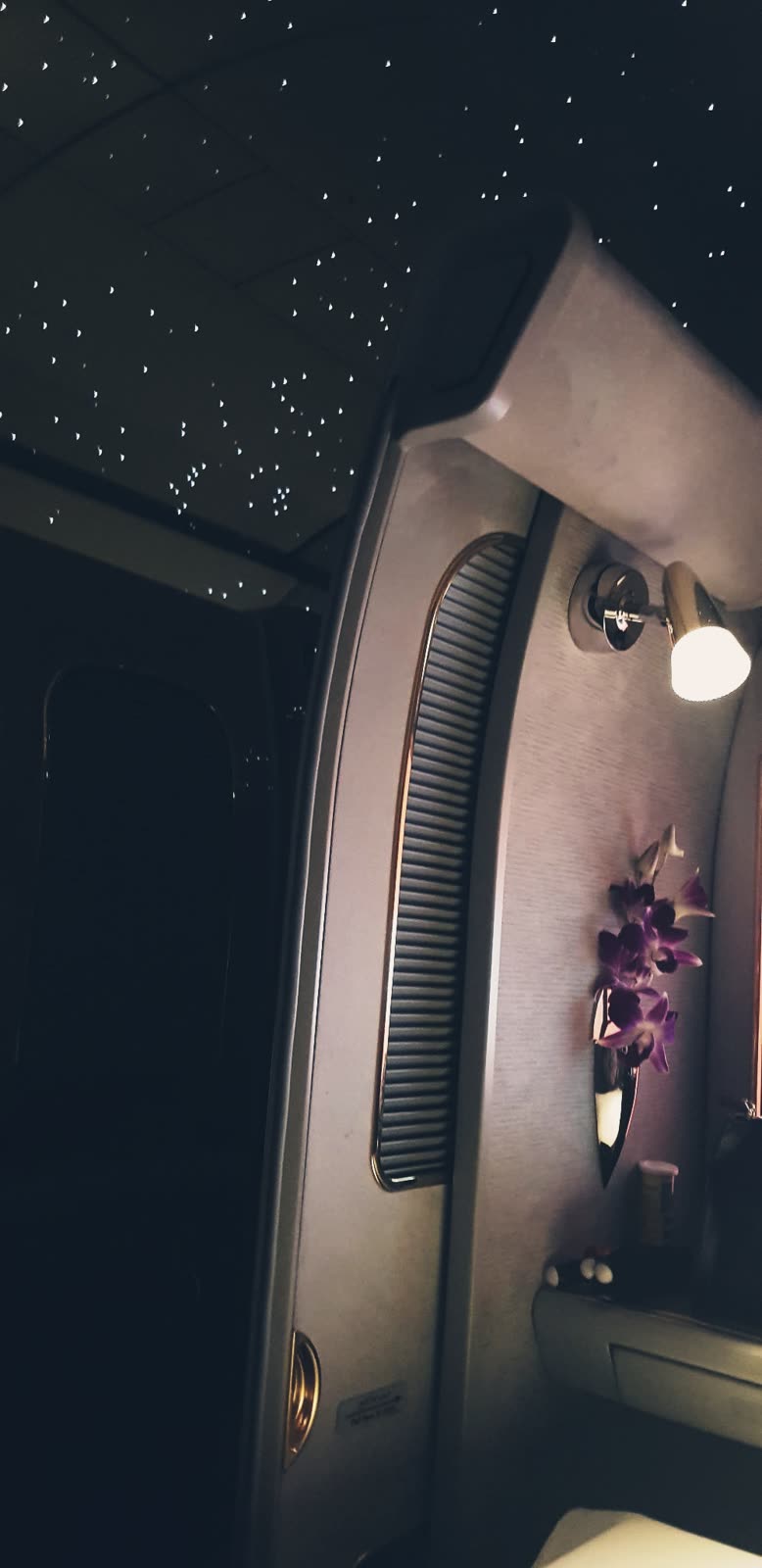 first class airplane suite with starry ceiling lighting, orchid flowers